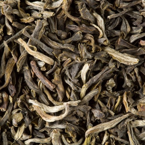 The Vert Yunnan Luz.jpg
